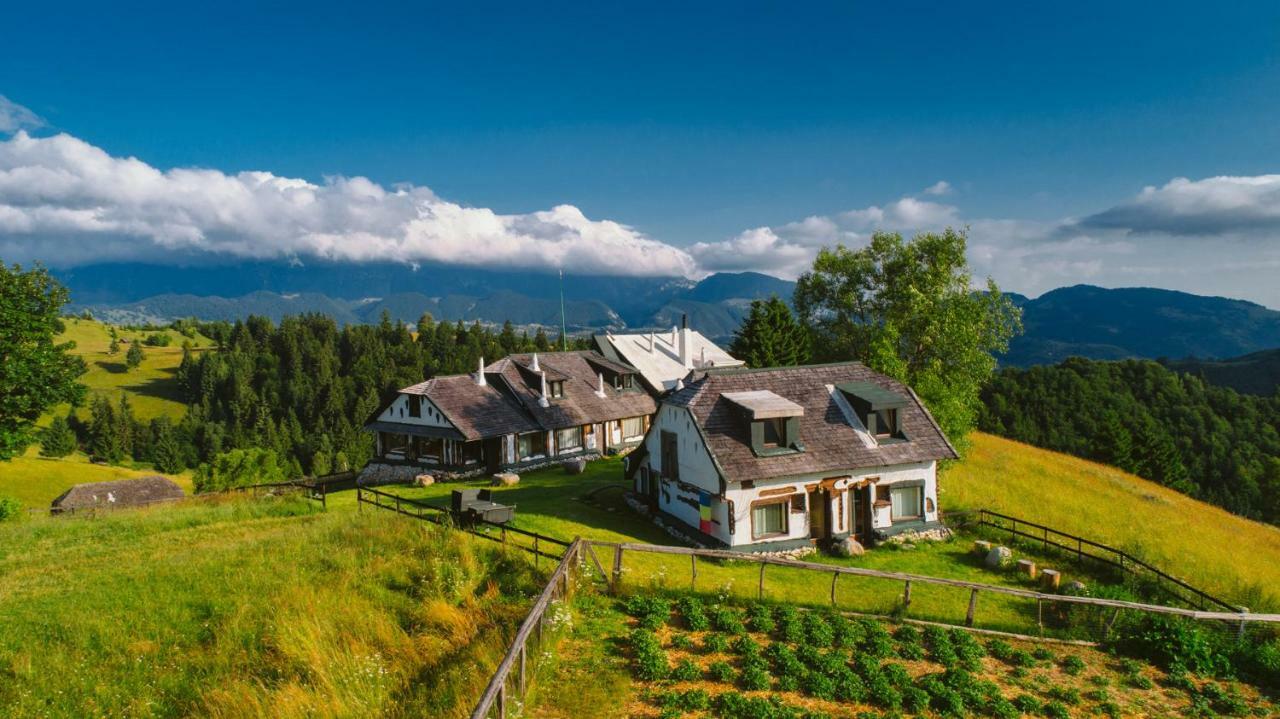 Amfiteatrul Transilvania Villa Moieciu de Jos Luaran gambar